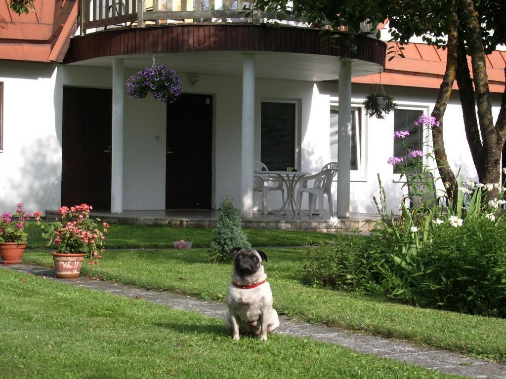 Maenni Guesthouse Haapsalu Camera foto