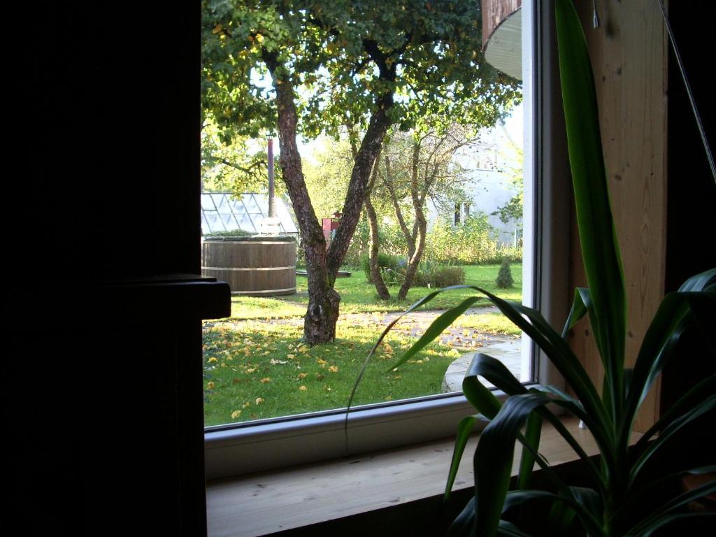 Maenni Guesthouse Haapsalu Camera foto